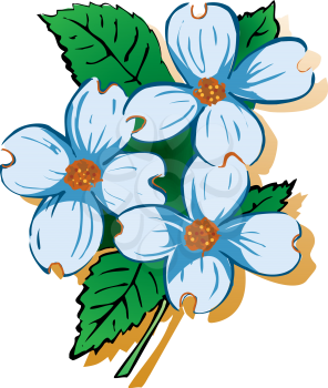 Flowerdogwoodcolor Clipart