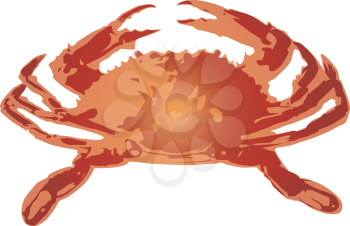 Crab Clipart
