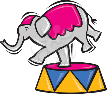 Elephantonstandcolor Clipart