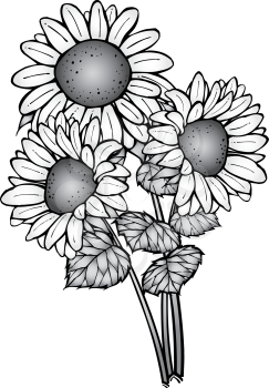 Sunflowers Clipart