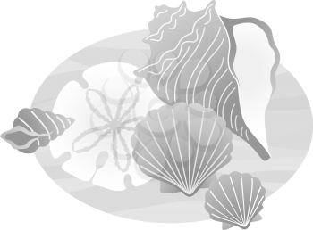 Seashells Clipart