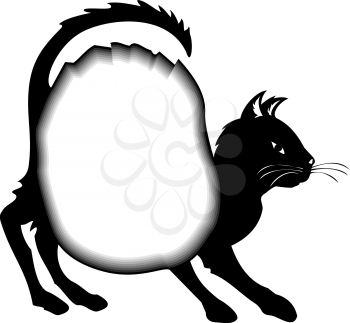 Cat Clipart