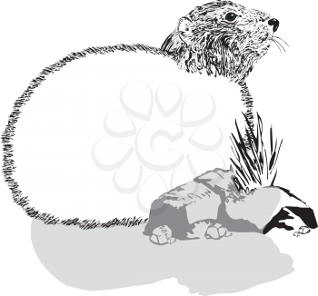 Groundhogmortice0502 Clipart