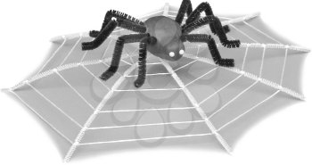 Spiders Clipart