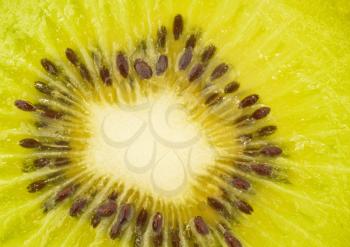 Tasty and fresh -  Extreme closeup of kiwi fruit