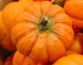 Royalty Free Photo of Pumpkins