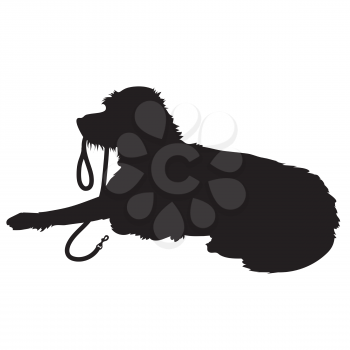 A black silhouette of a shaggy dog lying down with his leash in his mouth waiting to go for a walk