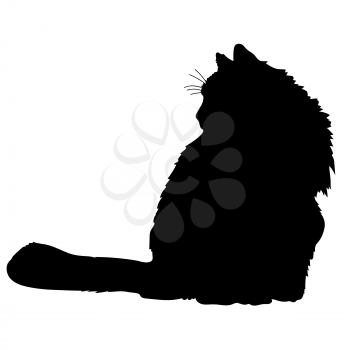 A black silhouette of a cat