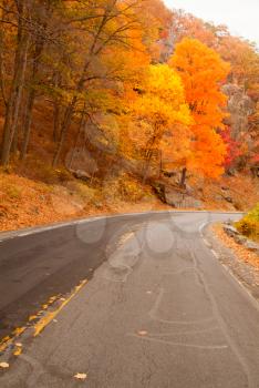 Royalty Free Photo of a Road in Autumn