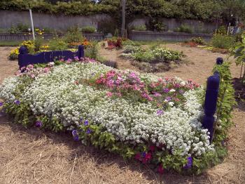 Bed made of flowers in the botanical garden.