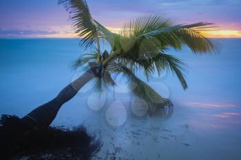 Caribbean beach.