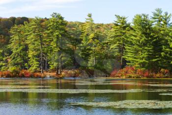 Fall landscape with the forest lake at sunset.