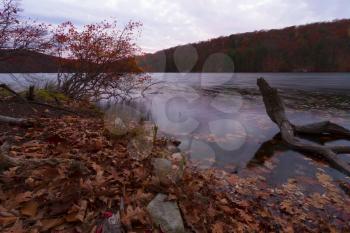 Fall landscape with the forest lake at sunset.