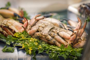 Fresh produce in seafood market.