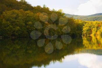 Fall landscape with the forest lake.