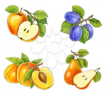 Royalty Free Clipart Image of a Fruit Collection