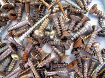 assortment of old rusty screws