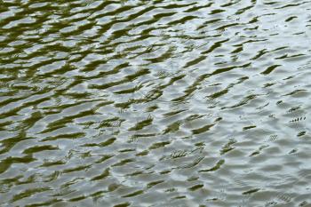 water ripples texture
