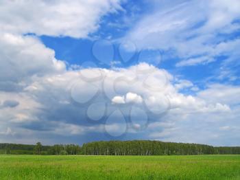 summer landscape of green field,trees and sky with clouds