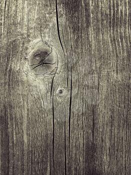 Texture of weathered wood