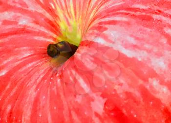 Royalty Free Photo of a Closeup of an Apple