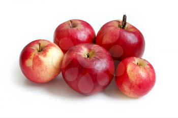 Five red apples on white background