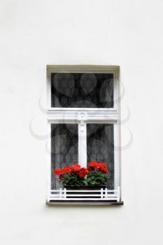 Window with bright red geranium flowers, close-up