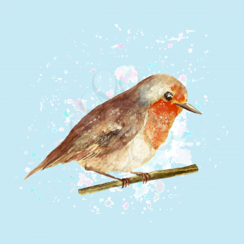 Illustration of watercolo robin with drop texture