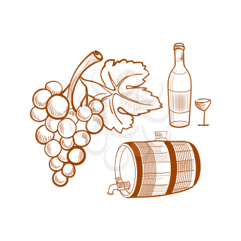 Illustration of hand drawn set with wine and grapes, doodle style