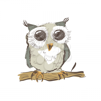 Illustration of doodle owl isolated on white background