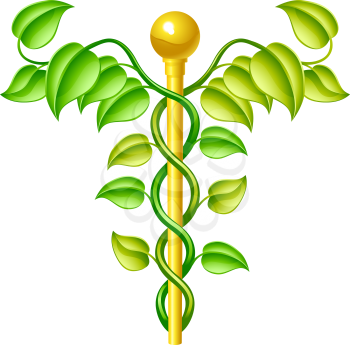 Royalty Free Clipart Image of a Natural Caduceus Concept