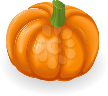 Royalty Free Clipart Image of a Pumpkin