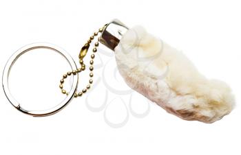Key ring isolated over white