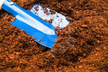 Blue color shovel in dirt isolated over white
