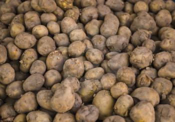 Full frame view of raw potatoes in a market stall, New Delhi, India