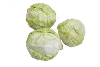 Close-up of three cabbages