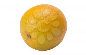 Close-up of an orange
