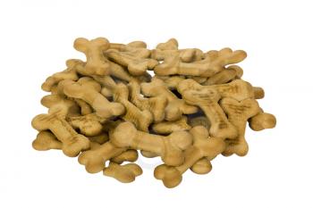 Close-up of a heap of dog biscuits
