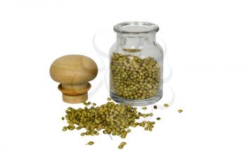 Coriander seeds spilling out from a container