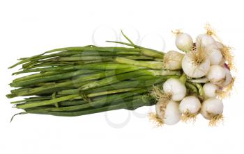 Close-up of a bunch of spring onions