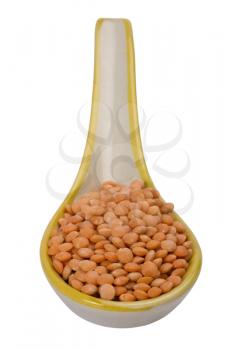 Close-up of red lentils in a spoon