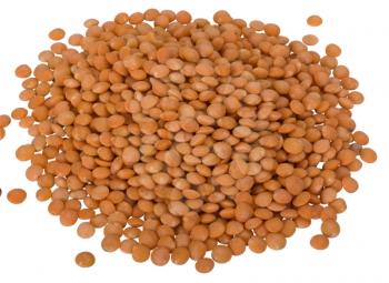 Close-up of red lentils