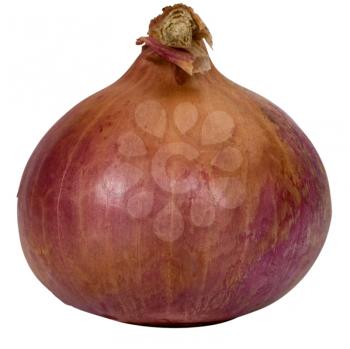 Close-up of an onion