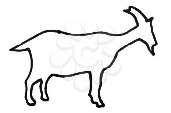 Outline of a goat