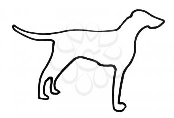 Outline of a dog