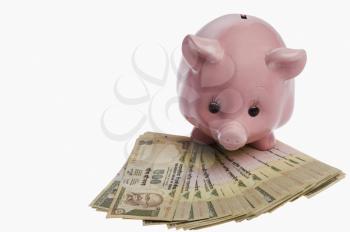 Piggy bank on Indian currency notes
