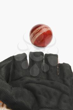 Close-up of a cricket ball and a wicket keeping glove