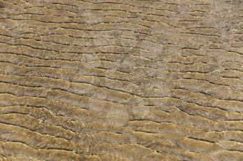 Rippled pattern on sand dunes, Goa, India