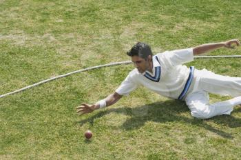 Cricket fielder diving to stop a ball near boundary line