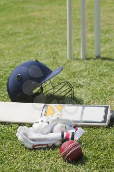 Cricket batting gears in a field